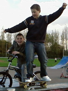 Mr Loris